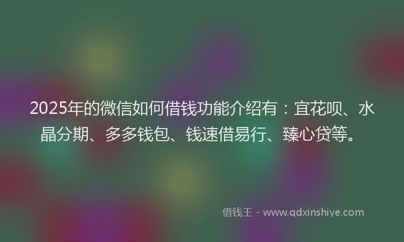2025年的微信如何借钱功能介绍有：宜花呗、水晶分期、多多钱包、钱速借易行、臻心贷等。