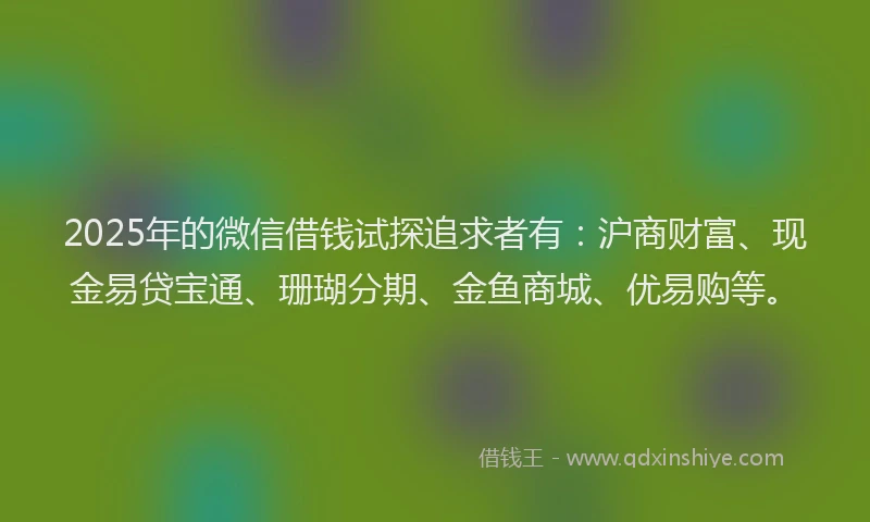 2025年的微信借钱试探追求者有：沪商财富、现金易贷宝通、珊瑚分期、金鱼商城、优易购等。