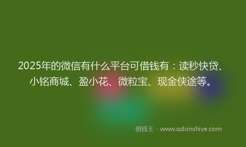 2025年的微信有什么平台可借钱有：读秒快贷、小铭商城、盈小花、微粒宝、现金侠途等。