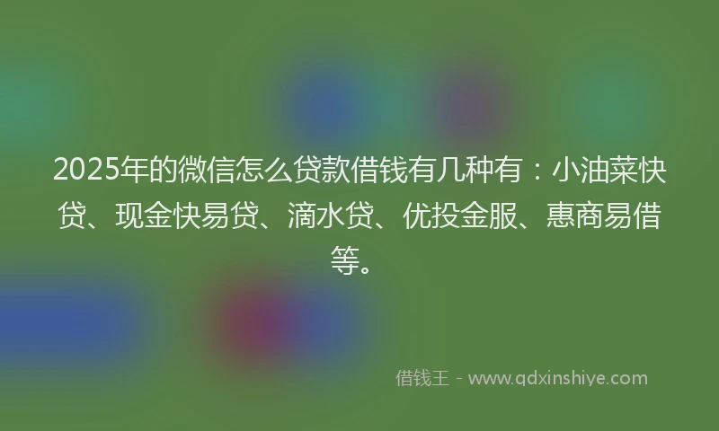 2025年的微信怎么贷款借钱有几种有：小油菜快贷、现金快易贷、滴水贷、优投金服、惠商易借等。