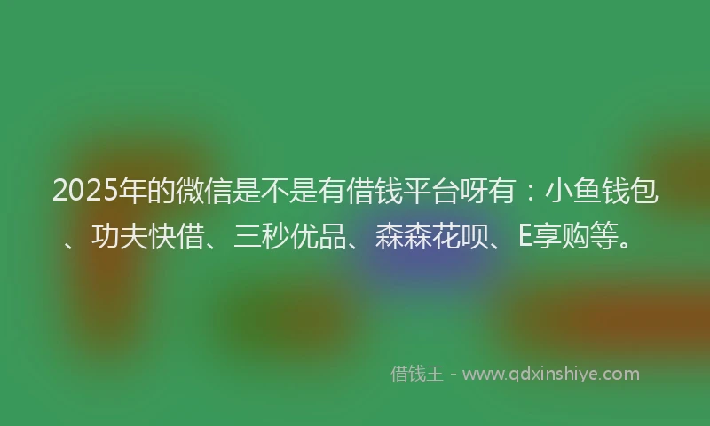 2025年的微信是不是有借钱平台呀有：小鱼钱包、功夫快借、三秒优品、森森花呗、E享购等。