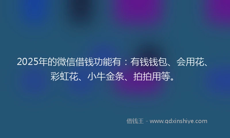 2025年的微信借钱功能有：有钱钱包、会用花、彩虹花、小牛金条、拍拍用等。