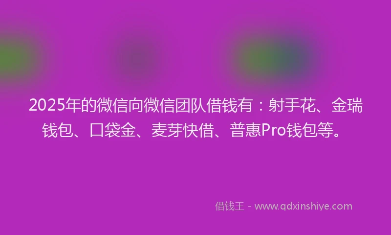 2025年的微信向微信团队借钱有：射手花、金瑞钱包、口袋金、麦芽快借、普惠Pro钱包等。