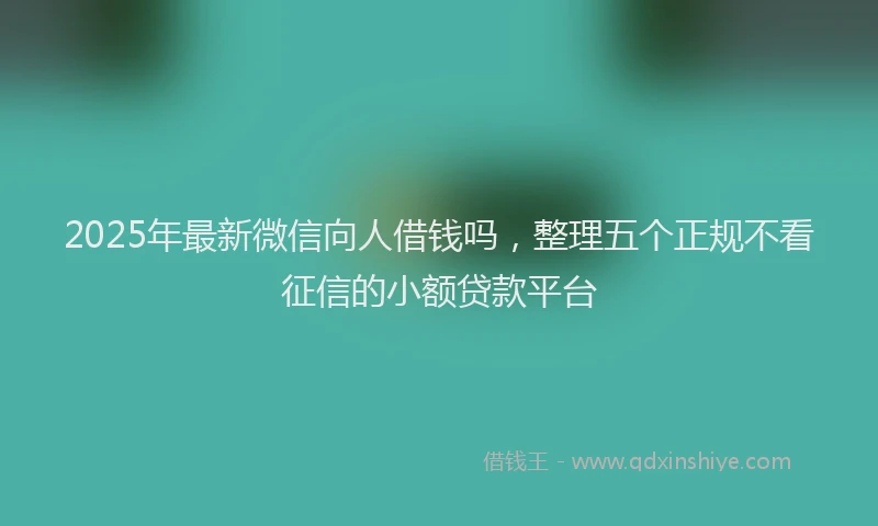 2025年最新微信向人借钱吗，整理五个正规不看征信的小额贷款平台