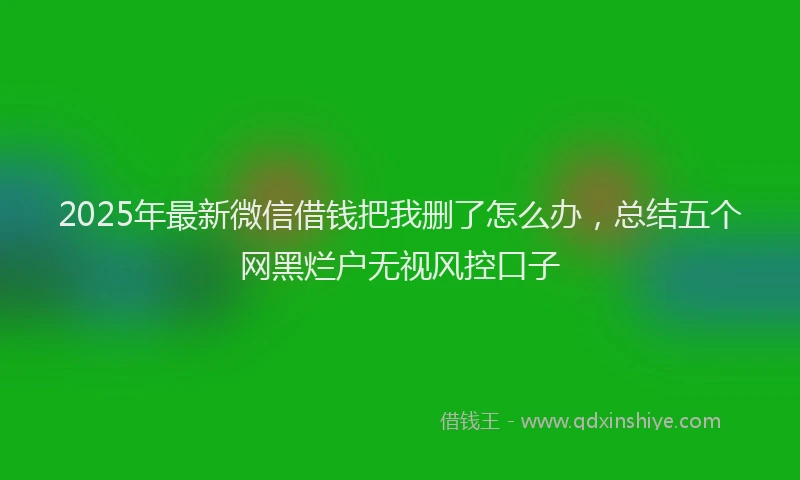 2025年最新微信借钱把我删了怎么办，总结五个网黑烂户无视风控口子