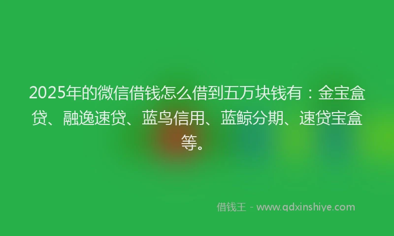 2025年的微信借钱怎么借到五万块钱有：金宝盒贷、融逸速贷、蓝鸟信用、蓝鲸分期、速贷宝盒等。