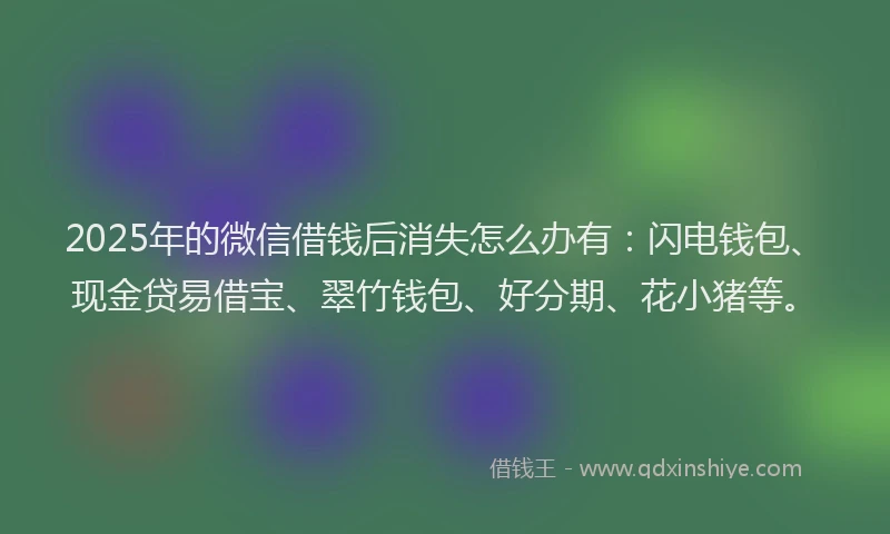 2025年的微信借钱后消失怎么办有：闪电钱包、现金贷易借宝、翠竹钱包、好分期、花小猪等。
