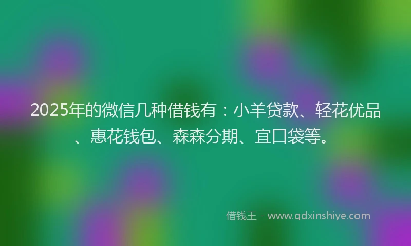 2025年的微信几种借钱有：小羊贷款、轻花优品、惠花钱包、森森分期、宜口袋等。