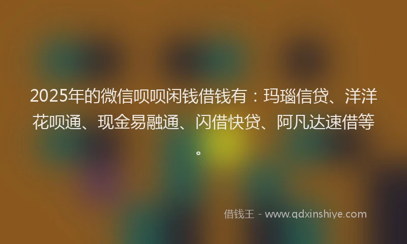 2025年的微信呗呗闲钱借钱有：玛瑙信贷、洋洋花呗通、现金易融通、闪借快贷、阿凡达速借等。