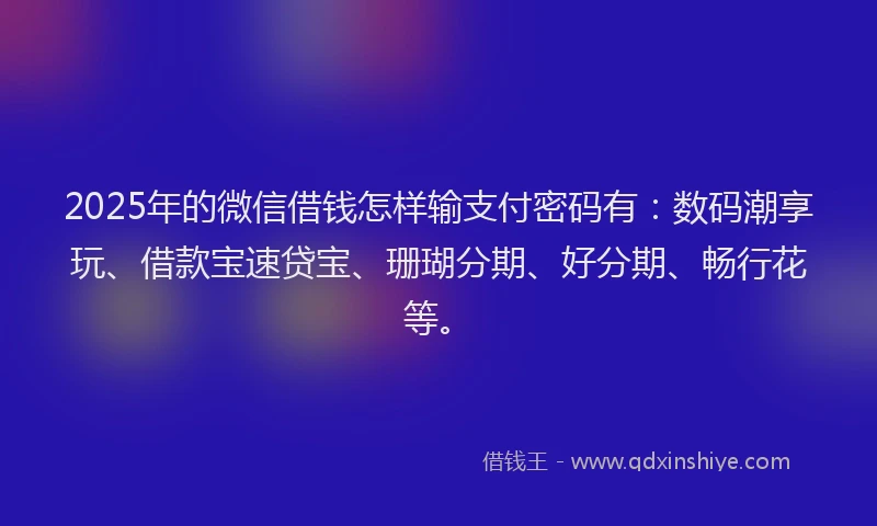 2025年的微信借钱怎样输支付密码有：数码潮享玩、借款宝速贷宝、珊瑚分期、好分期、畅行花等。