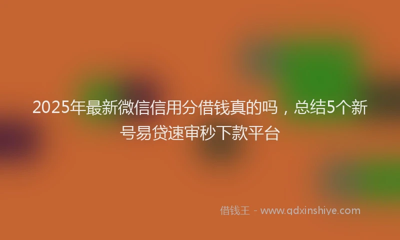 2025年最新微信信用分借钱真的吗，总结5个新号易贷速审秒下款平台