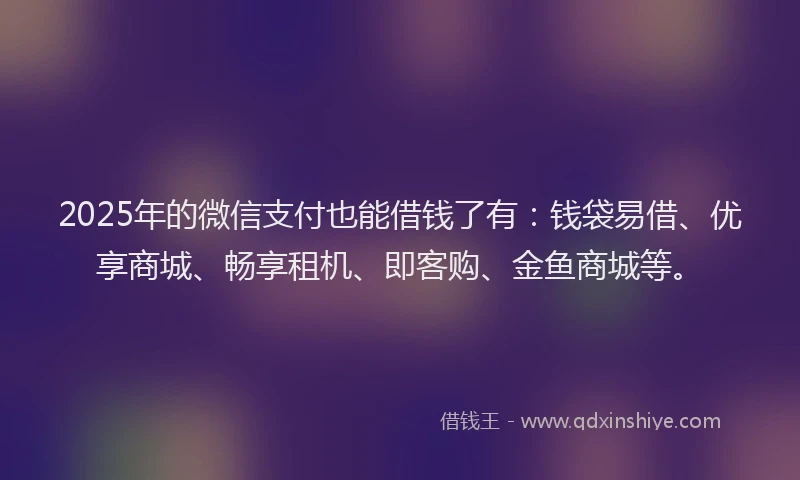 2025年的微信支付也能借钱了有：钱袋易借、优享商城、畅享租机、即客购、金鱼商城等。