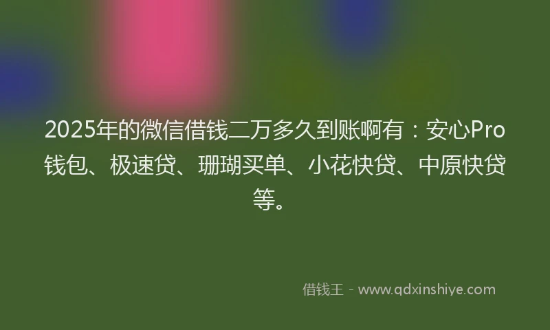 2025年的微信借钱二万多久到账啊有：安心Pro钱包、极速贷、珊瑚买单、小花快贷、中原快贷等。