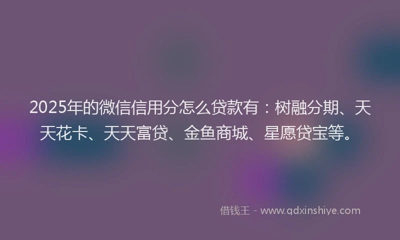 2025年的微信信用分怎么贷款有：树融分期、天天花卡、天天富贷、金鱼商城、星愿贷宝等。