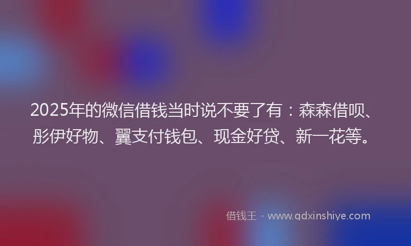 2025年的微信借钱当时说不要了有：森森借呗、彤伊好物、翼支付钱包、现金好贷、新一花等。