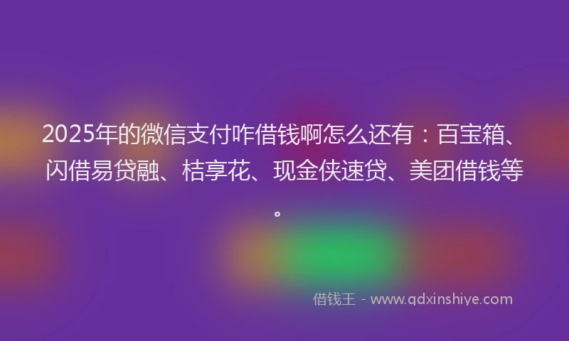 2025年的微信支付咋借钱啊怎么还有：百宝箱、闪借易贷融、桔享花、现金侠速贷、美团借钱等。