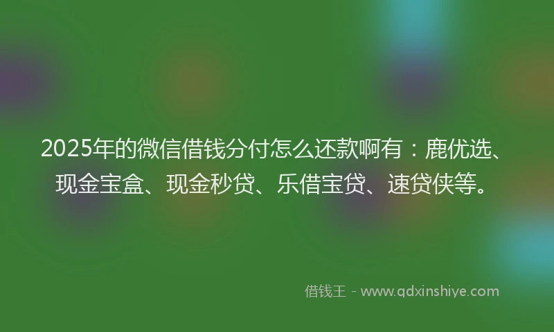 2025年的微信借钱分付怎么还款啊有：鹿优选、现金宝盒、现金秒贷、乐借宝贷、速贷侠等。