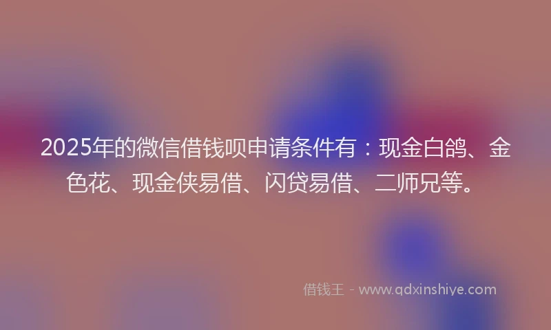 2025年的微信借钱呗申请条件有：现金白鸽、金色花、现金侠易借、闪贷易借、二师兄等。