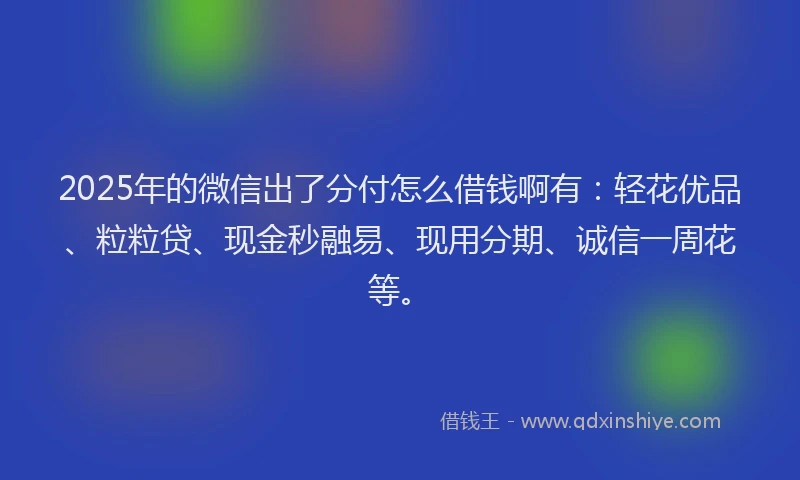 2025年的微信出了分付怎么借钱啊有：轻花优品、粒粒贷、现金秒融易、现用分期、诚信一周花等。