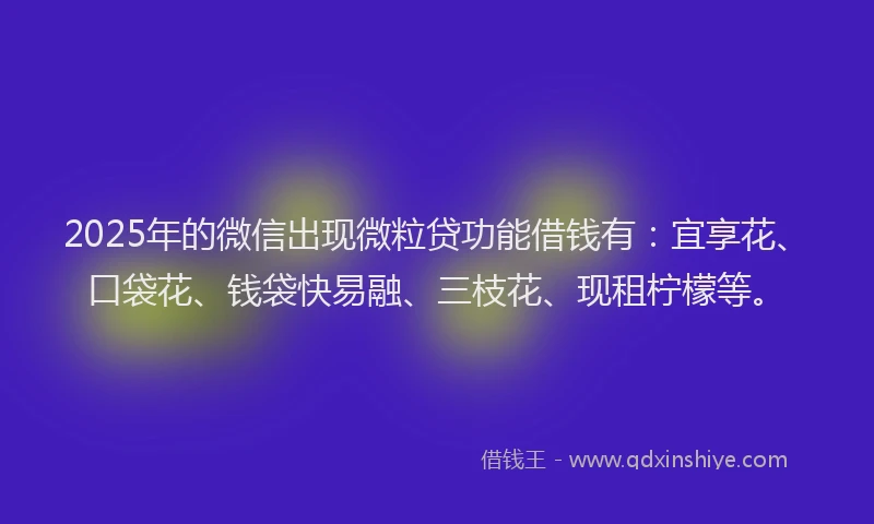 2025年的微信出现微粒贷功能借钱有：宜享花、口袋花、钱袋快易融、三枝花、现租柠檬等。