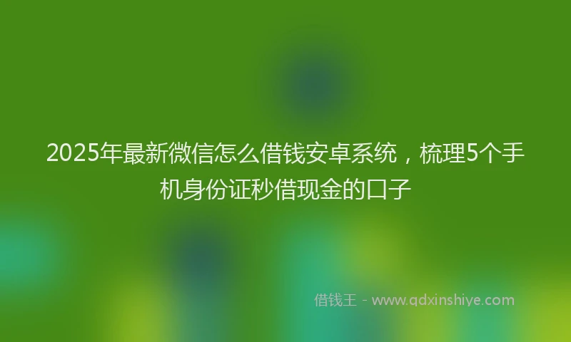 2025年最新微信怎么借钱安卓系统，梳理5个手机身份证秒借现金的口子