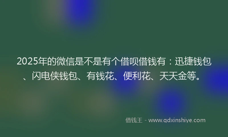 2025年的微信是不是有个借呗借钱有：迅捷钱包、闪电侠钱包、有钱花、便利花、天天金等。
