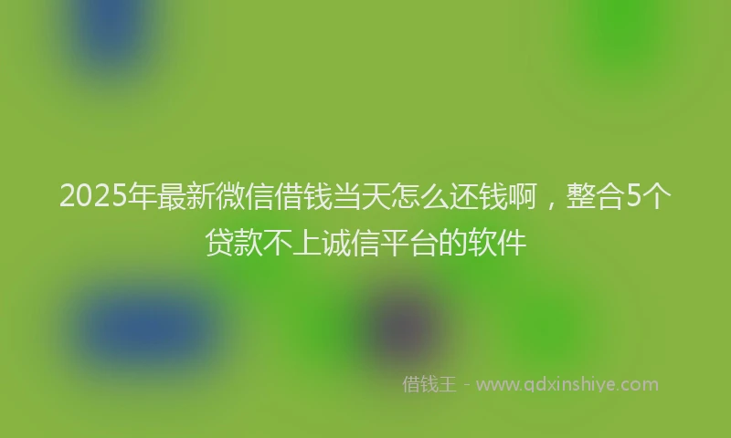 2025年最新微信借钱当天怎么还钱啊，整合5个贷款不上诚信平台的软件