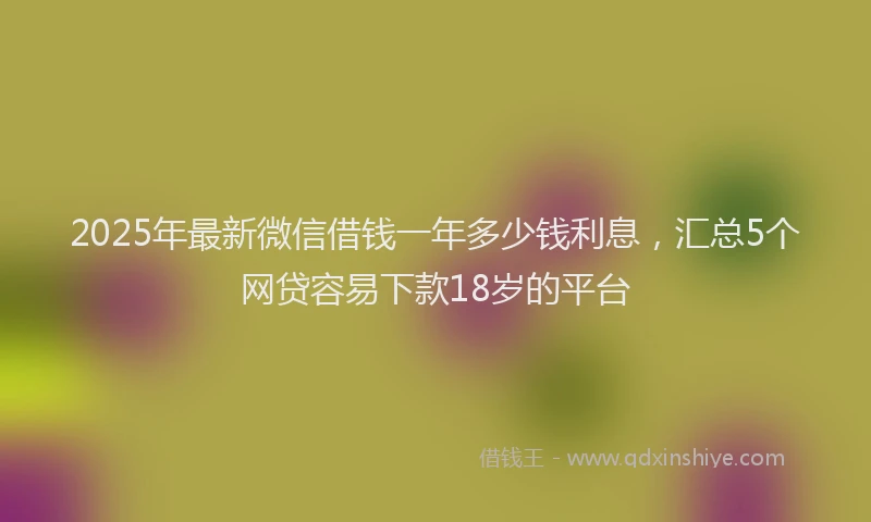 2025年最新微信借钱一年多少钱利息，汇总5个网贷容易下款18岁的平台