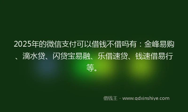2025年的微信支付可以借钱不借吗有：金峰易购、滴水贷、闪贷宝易融、乐借速贷、钱速借易行等。