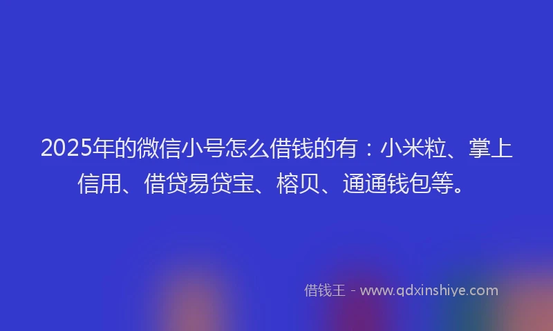 2025年的微信小号怎么借钱的有：小米粒、掌上信用、借贷易贷宝、榕贝、通通钱包等。