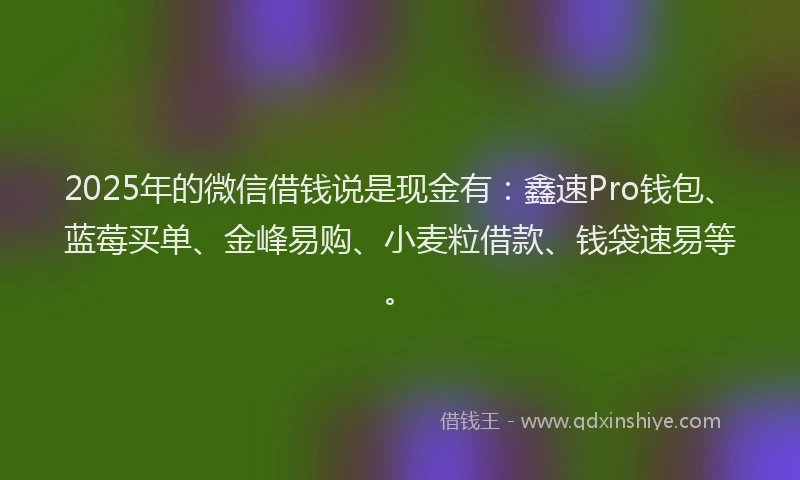 2025年的微信借钱说是现金有：鑫速Pro钱包、蓝莓买单、金峰易购、小麦粒借款、钱袋速易等。
