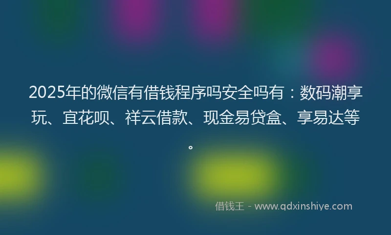 2025年的微信有借钱程序吗安全吗有：数码潮享玩、宜花呗、祥云借款、现金易贷盒、享易达等。