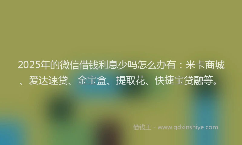 2025年的微信借钱利息少吗怎么办有：米卡商城、爱达速贷、金宝盒、提取花、快捷宝贷融等。