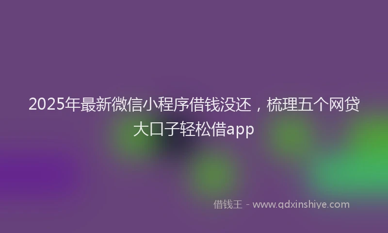 2025年最新微信小程序借钱没还，梳理五个网贷大口子轻松借app