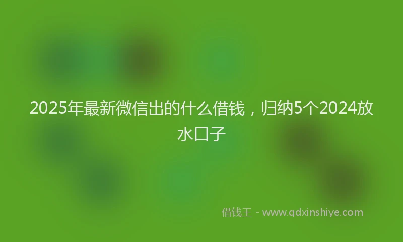 2025年最新微信出的什么借钱，归纳5个2024放水口子