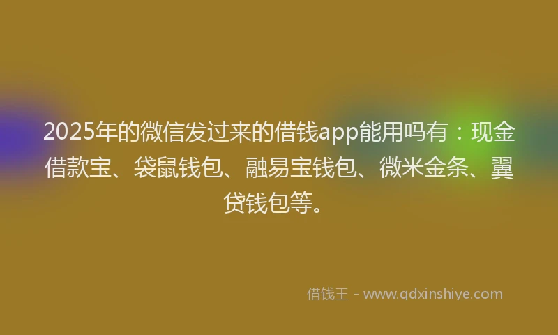 2025年的微信发过来的借钱app能用吗有：现金借款宝、袋鼠钱包、融易宝钱包、微米金条、翼贷钱包等。