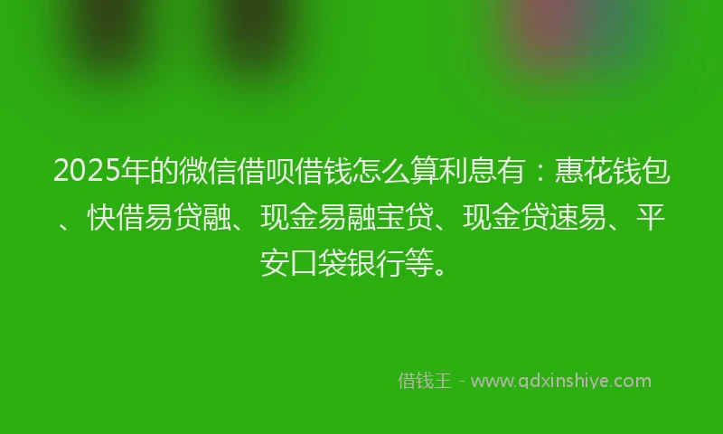 2025年的微信借呗借钱怎么算利息有：惠花钱包、快借易贷融、现金易融宝贷、现金贷速易、平安口袋银行等。