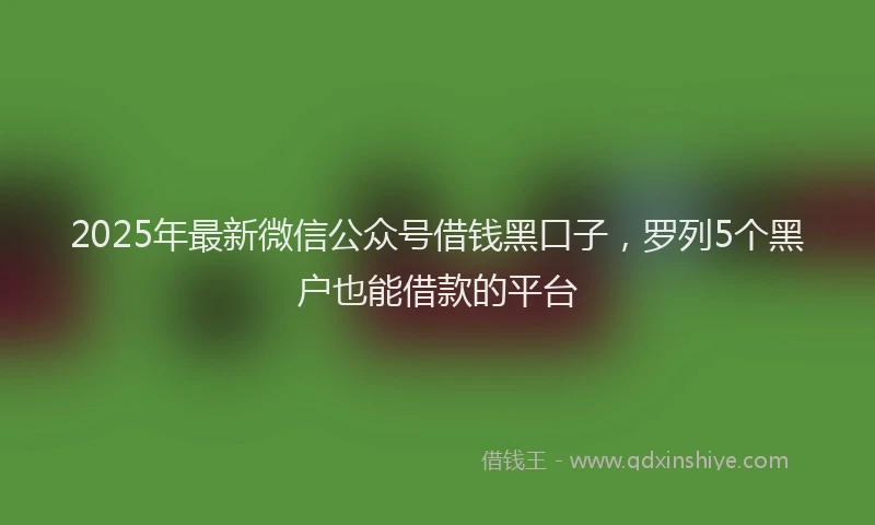 2025年最新微信公众号借钱黑口子，罗列5个黑户也能借款的平台