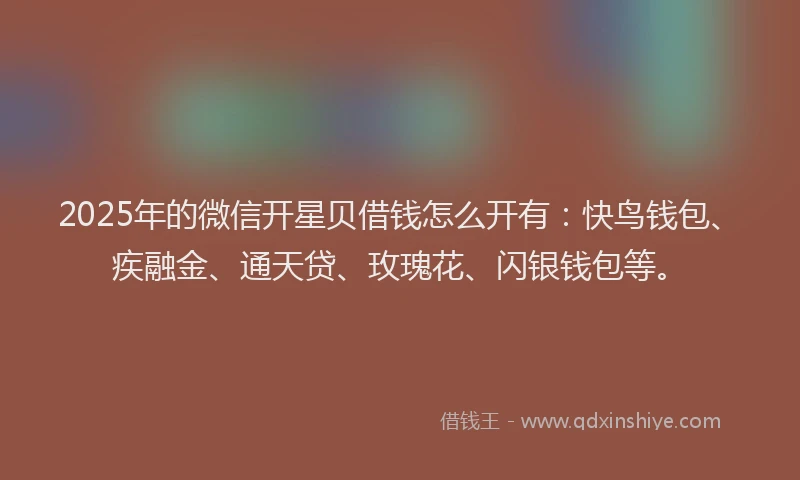 2025年的微信开星贝借钱怎么开有：快鸟钱包、疾融金、通天贷、玫瑰花、闪银钱包等。