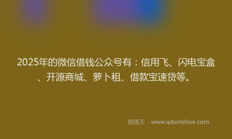 2025年的微信借钱公众号有：信用飞、闪电宝盒、开源商城、萝卜租、借款宝速贷等。