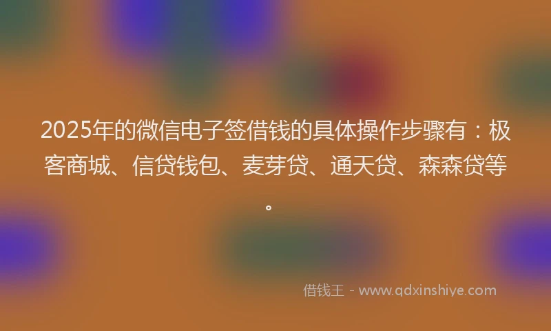 2025年的微信电子签借钱的具体操作步骤有：极客商城、信贷钱包、麦芽贷、通天贷、森森贷等。