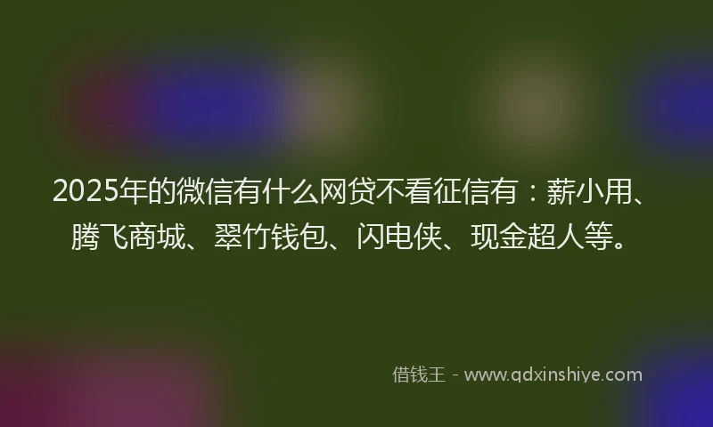 2025年的微信有什么网贷不看征信有：薪小用、腾飞商城、翠竹钱包、闪电侠、现金超人等。