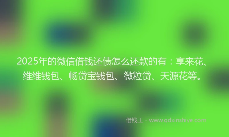 2025年的微信借钱还债怎么还款的有：享来花、维维钱包、畅贷宝钱包、微粒贷、天源花等。