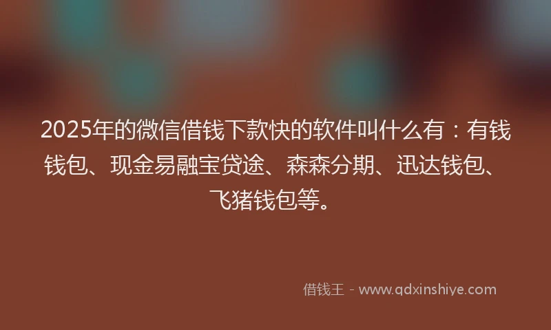 2025年的微信借钱下款快的软件叫什么有：有钱钱包、现金易融宝贷途、森森分期、迅达钱包、飞猪钱包等。