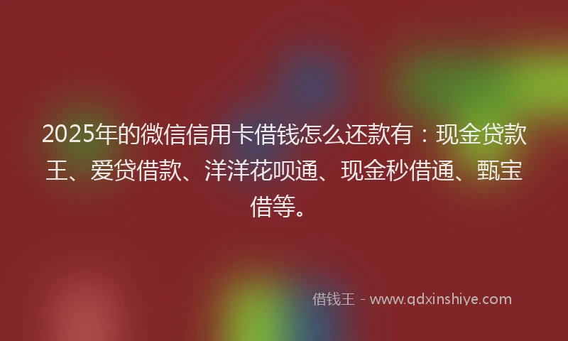 2025年的微信信用卡借钱怎么还款有：现金贷款王、爱贷借款、洋洋花呗通、现金秒借通、甄宝借等。