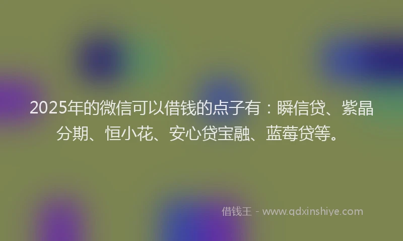 2025年的微信可以借钱的点子有：瞬信贷、紫晶分期、恒小花、安心贷宝融、蓝莓贷等。