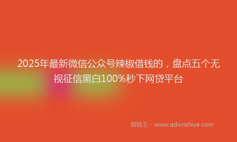 2025年最新微信公众号辣椒借钱的，盘点五个无视征信黑白100%秒下网贷平台