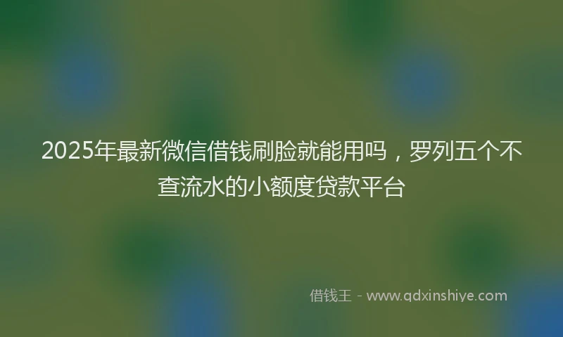 2025年最新微信借钱刷脸就能用吗，罗列五个不查流水的小额度贷款平台
