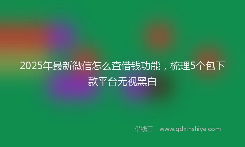 2025年最新微信怎么查借钱功能，梳理5个包下款平台无视黑白