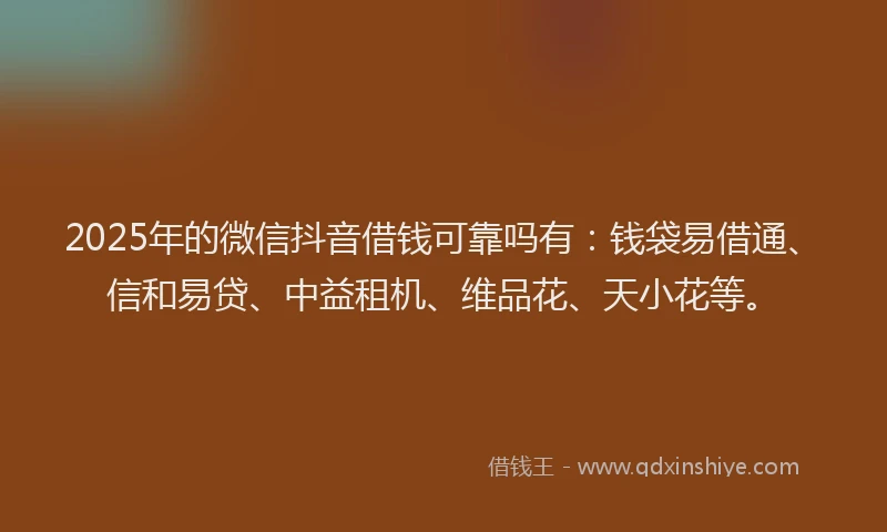 2025年的微信抖音借钱可靠吗有：钱袋易借通、信和易贷、中益租机、维品花、天小花等。